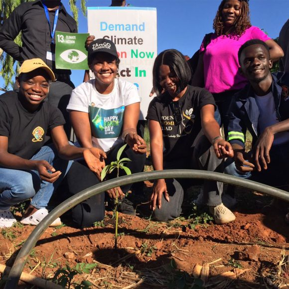 Tree Planting